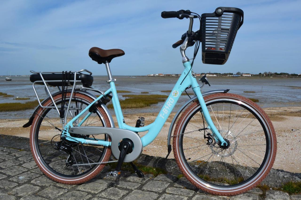 Elma Stay Location Lalbatros Saint-Pierre-d'Oleron Exteriör bild